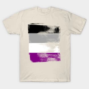 Asexual Pride Flag Colors Vintage Finish T-Shirt